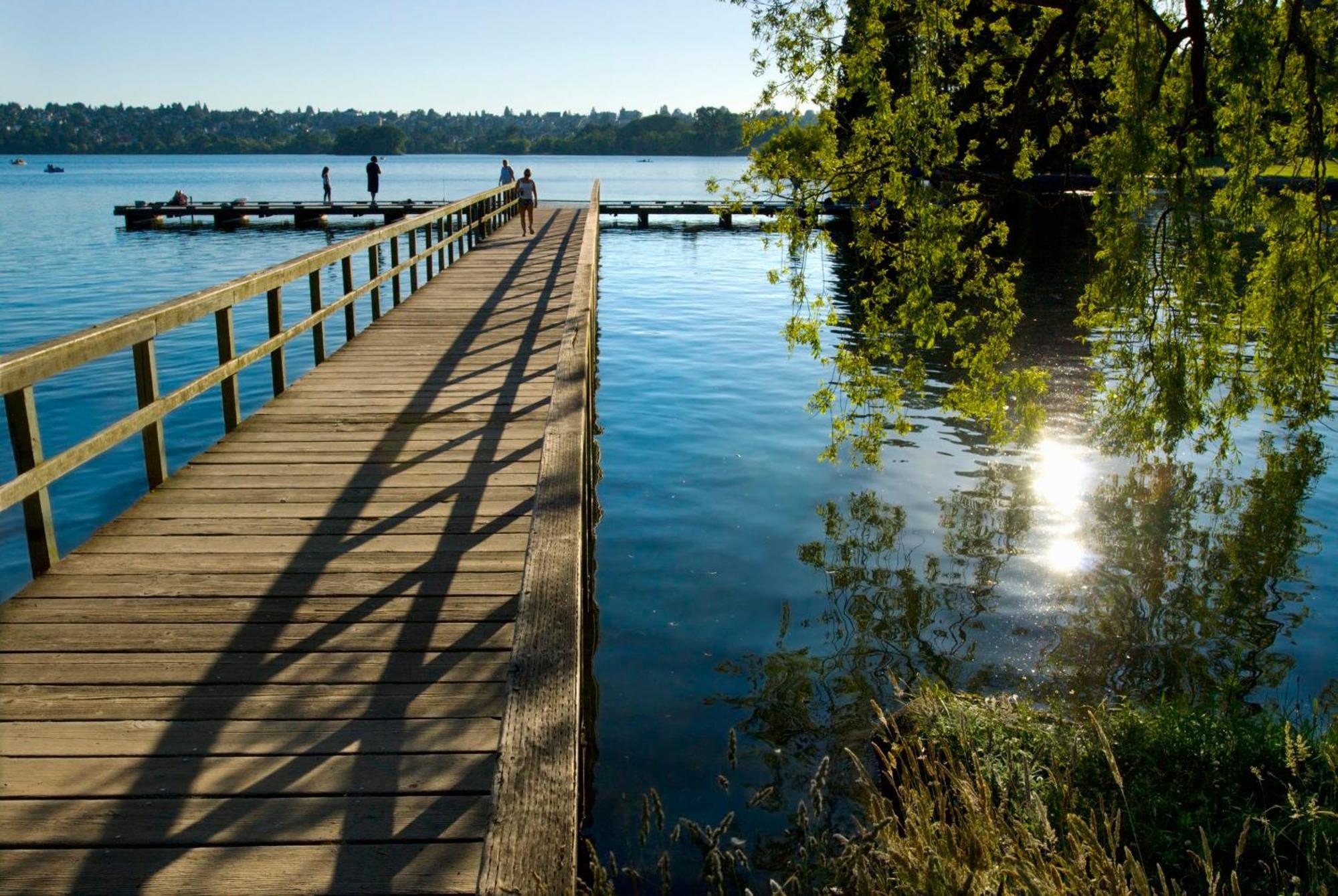 Green Lake 1St Line Home D Full Modern Remodeled Seattle Kültér fotó